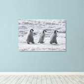 Kutest Baby Animals | Drie keizerhaaien Canvas Afdruk (Insitu (Houten vloer))