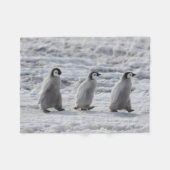 Kutest Baby Animals | Drie keizerhaaien Fleece Deken (Voorkant (Horizontaal))