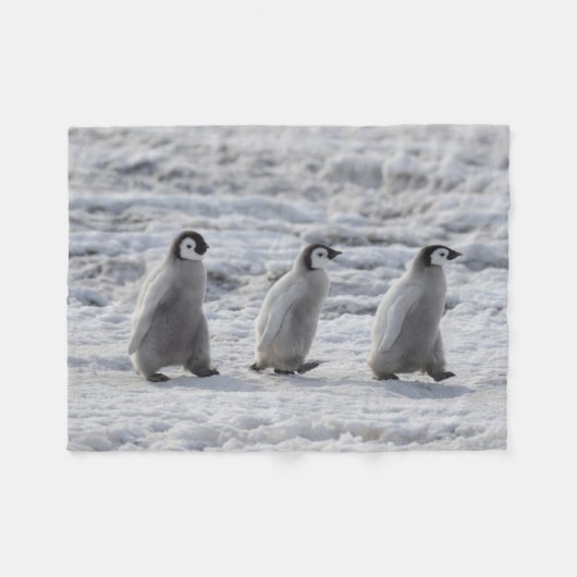 Kutest Baby Animals | Drie keizerhaaien Fleece Deken (Voorkant (Horizontaal))