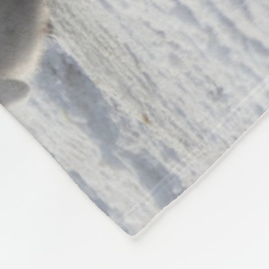 Kutest Baby Animals | Drie keizerhaaien Fleece Deken (Hoek)