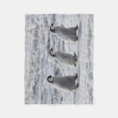 Kutest Baby Animals | Drie keizerhaaien Fleece Deken (Voorkant)