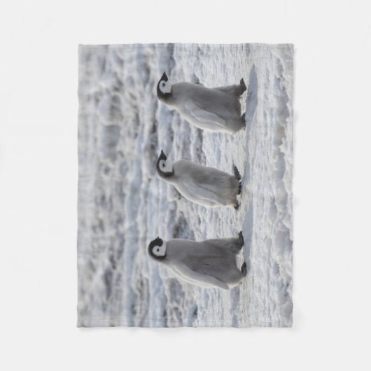 Kutest Baby Animals | Drie keizerhaaien Fleece Deken (Voorkant)