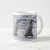 Kutest Baby Animals | Drie keizerhaaien Grote Koffiekop (Voorkant rechts)