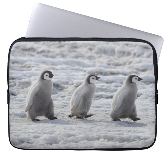 Kutest Baby Animals | Drie keizerhaaien Laptop Sleeve (Voorkant)