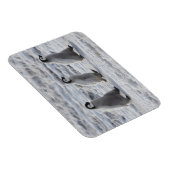 Kutest Baby Animals | Drie keizerhaaien Magneet (Rechterzijde)