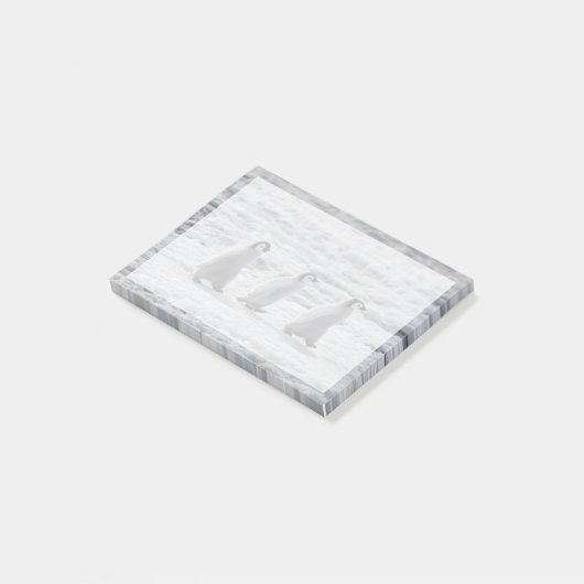 Kutest Baby Animals | Drie keizerhaaien Post-it® Notes (Schuin)