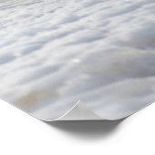 Kutest Baby Animals | Drie keizerhaaien Poster (Hoek)