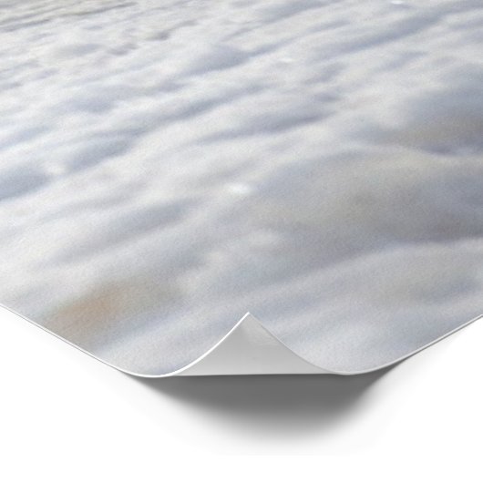 Kutest Baby Animals | Drie keizerhaaien Poster (Hoek)