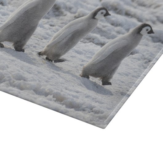 Kutest Baby Animals | Drie keizerhaaien Snijplank (Hoek)