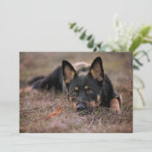 Kutest Baby Animals | Duitse schapenhouderij Bedankkaart (Staand voorkant)