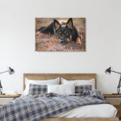 Kutest Baby Animals | Duitse schapenhouderij Canvas Afdruk (Insitu (Slaapkamer))