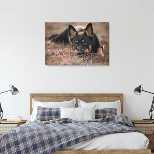 Kutest Baby Animals | Duitse schapenhouderij Canvas Afdruk (Insitu (Slaapkamer))