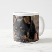 Kutest Baby Animals | Duitse schapenhouderij Grote Koffiekop (Voorkant rechts)