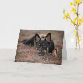 Kutest Baby Animals | Duitse schapenhouderij Kaart (Gele Bloem)