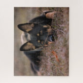 Kutest Baby Animals | Duitse schapenhouderij Legpuzzel (Verticaal)