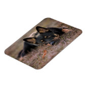 Kutest Baby Animals | Duitse schapenhouderij Magneet (Linkerzijde)