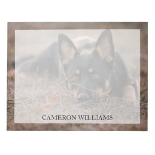 Kutest Baby Animals   Duitse schapenhouderij Notitieblok