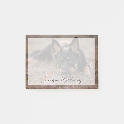 Kutest Baby Animals | Duitse schapenhouderij Post-it® Notes (Voorkant)