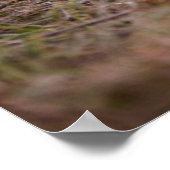 Kutest Baby Animals | Duitse schapenhouderij Poster (Hoek)