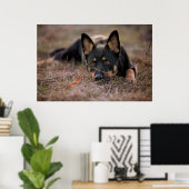 Kutest Baby Animals | Duitse schapenhouderij Poster (Thuiskantoor)