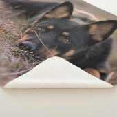 Kutest Baby Animals | Duitse schapenhouderij Sherpa Deken (3/4)