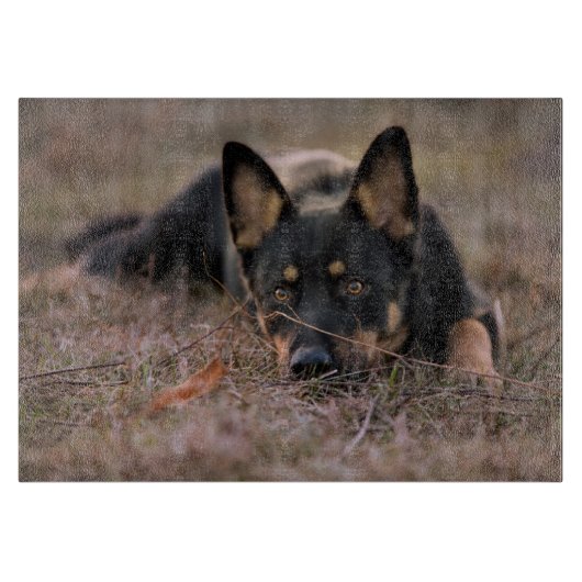 Kutest Baby Animals | Duitse schapenhouderij Snijplank (Voorkant)