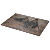 Kutest Baby Animals | Duitse schapenhouderij Snijplank (Hoek)