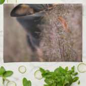 Kutest Baby Animals | Duitse schapenhouderij Theedoek (Gevouwen)