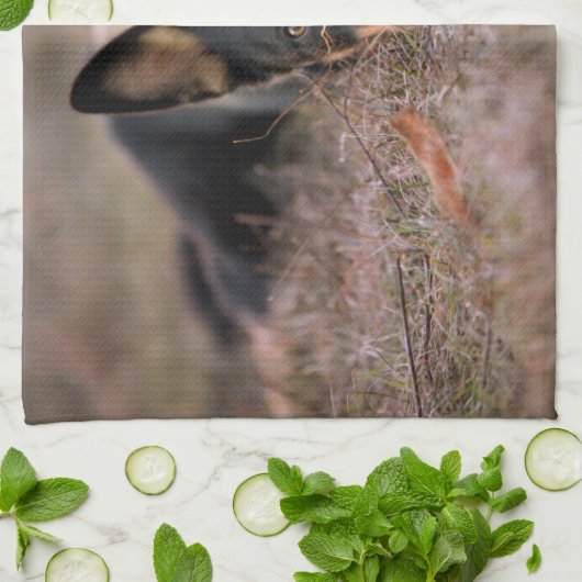 Kutest Baby Animals | Duitse schapenhouderij Theedoek (Gevouwen)