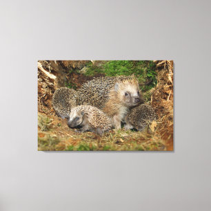 Kutest Baby Animals Eelfamilie Canvas Afdruk