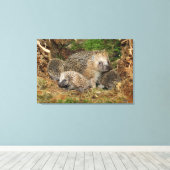 Kutest Baby Animals | Eelfamilie Canvas Afdruk (Insitu (Houten vloer))