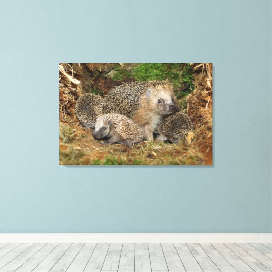 Kutest Baby Animals | Eelfamilie Canvas Afdruk (Insitu (Houten vloer))