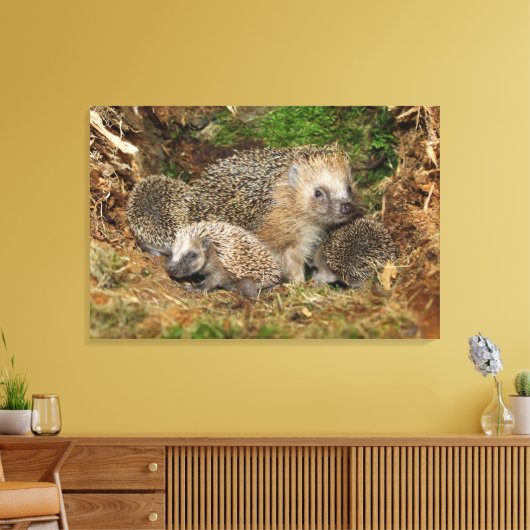 Kutest Baby Animals | Eelfamilie Canvas Afdruk (Insitu (Woonkamer))