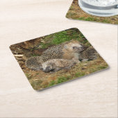 Kutest Baby Animals | Eelfamilie Kartonnen Onderzetters (Schuin)