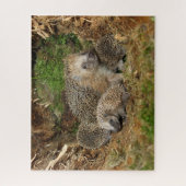 Kutest Baby Animals | Eelfamilie Legpuzzel (Verticaal)