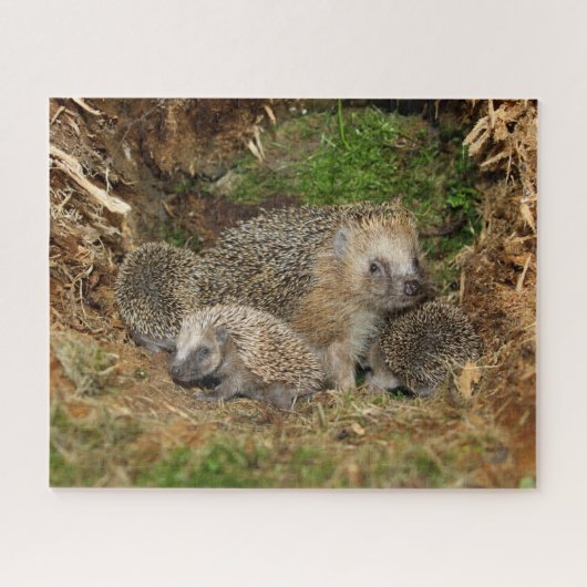 Kutest Baby Animals | Eelfamilie Legpuzzel (Horizontaal)