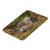 Kutest Baby Animals | Eelfamilie Magneet (Linkerzijde)