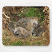 Kutest Baby Animals | Eelfamilie Muismat (Voorkant)