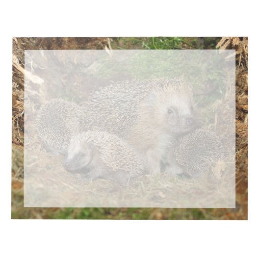 Kutest Baby Animals | Eelfamilie Notitieblok (Voorkant)