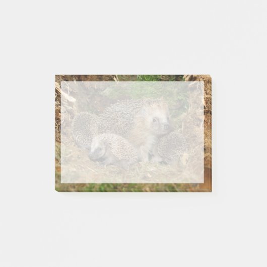 Kutest Baby Animals | Eelfamilie Post-it® Notes (Voorkant)
