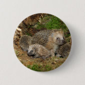 Kutest Baby Animals | Eelfamilie Ronde Button 5,7 Cm (Voorkant)