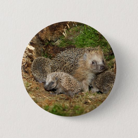 Kutest Baby Animals | Eelfamilie Ronde Button 5,7 Cm (Voorkant)