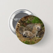 Kutest Baby Animals | Eelfamilie Ronde Button 5,7 Cm (Voorkant /achterkant)