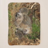 Kutest Baby Animals | Eelfamilie Sherpa Deken (Voorkant)