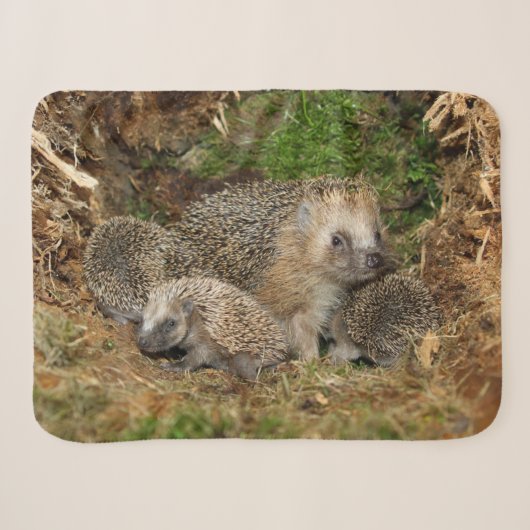 Kutest Baby Animals | Eelfamilie Sherpa Deken (Voorkant (horizontaal))