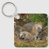 Kutest Baby Animals | Eelfamilie Sleutelhanger (Voorkant)