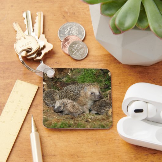 Kutest Baby Animals | Eelfamilie Sleutelhanger (Bureau)