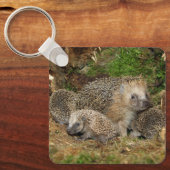 Kutest Baby Animals | Eelfamilie Sleutelhanger (Voorkant)
