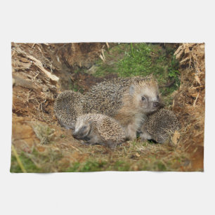 Kutest Baby Animals   Eelfamilie Theedoek