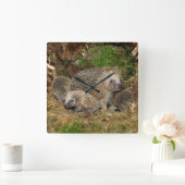 Kutest Baby Animals | Eelfamilie Vierkante Klok (Huis)